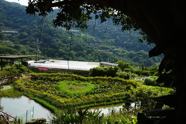 ▲白石湖社區同心池,竹子湖社區,溪山社區百年古圳。（圖／北市府產業局提供）