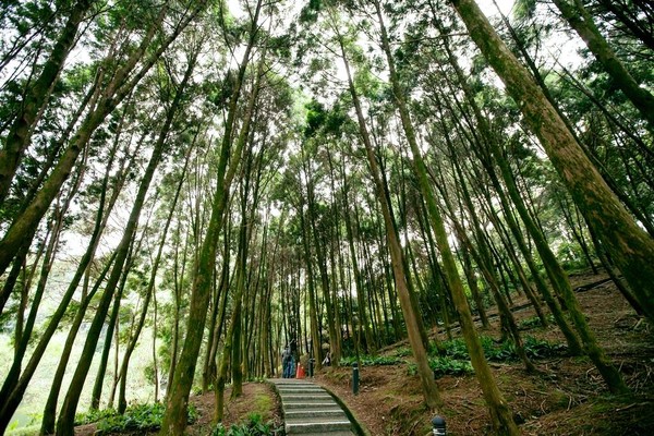 ▲▼慈湖秘境步道。（圖／翻攝自樂由桃園臉書專頁）