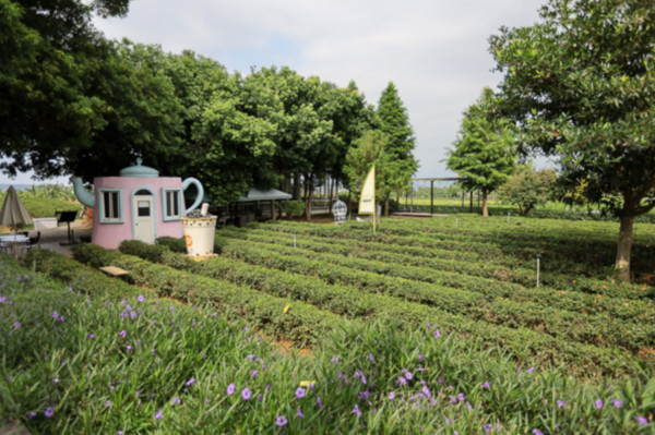 ▲南投茶二指故事館。（圖／部落客《旅行好有趣》提供，請勿隨意翻拍，以免侵權。