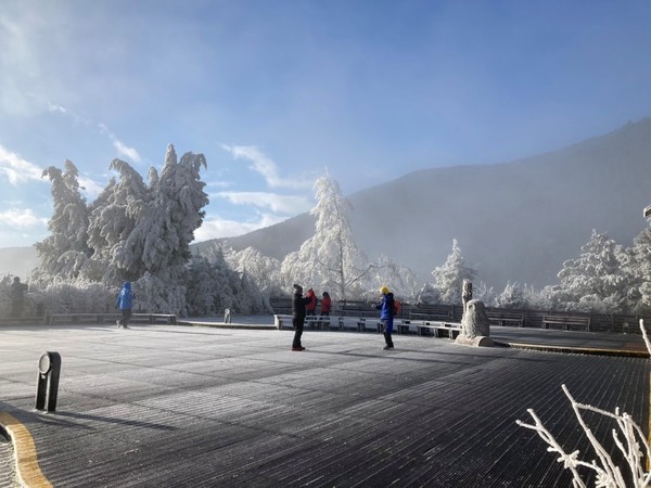 ▲太平山猶如一座「冰雪童話世界」。（圖／翻攝自太平山國家森林遊樂區粉專）