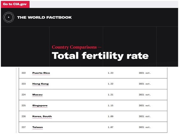生育率,CIA,內政部,龐氏政策,少子化,家庭計劃,社會福利,傳統文化