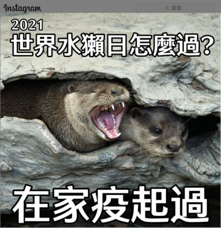 ▲臉書整理暑假親子線上活動懶人包，不少動物園在臉書、IG有動物直播，讓小孩在家防疫不無聊。（圖／翻攝自Taipei Zoo 臺北市立動物園IG）