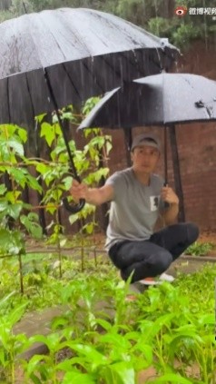 ▲謝霆鋒暴雨出門「幫菜園撐傘」　貼心舉動網看傻：菜照顧得比兒子好。（圖／翻攝自微博／鋒味）