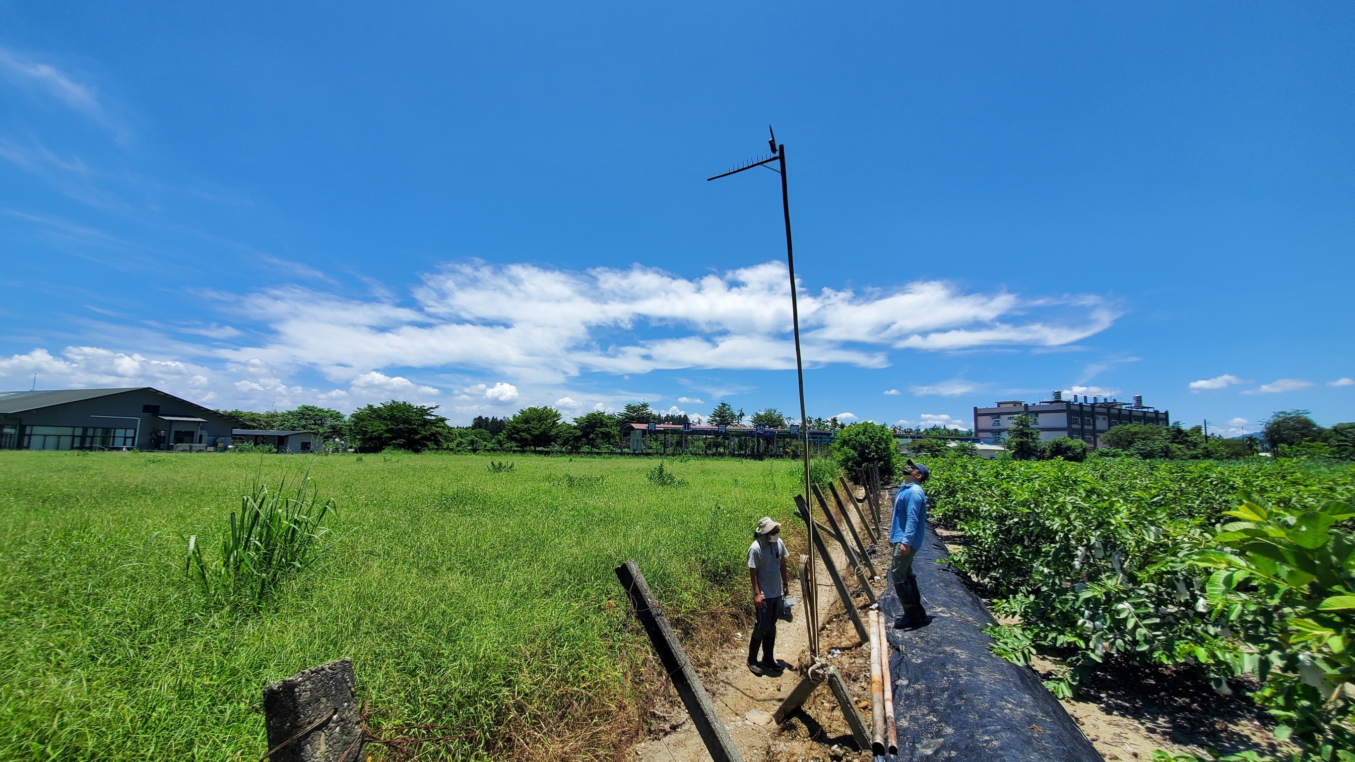 ▲遠雄人壽與屏科大於屏東善導書院鳳梨田間佈建6米高雙層棲架及生態監測相機，協助環保復育。（圖／遠雄人壽提供）