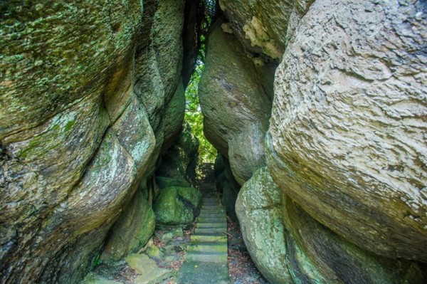 ▲（圖／東北角暨宜蘭海岸國家風景區 提供）