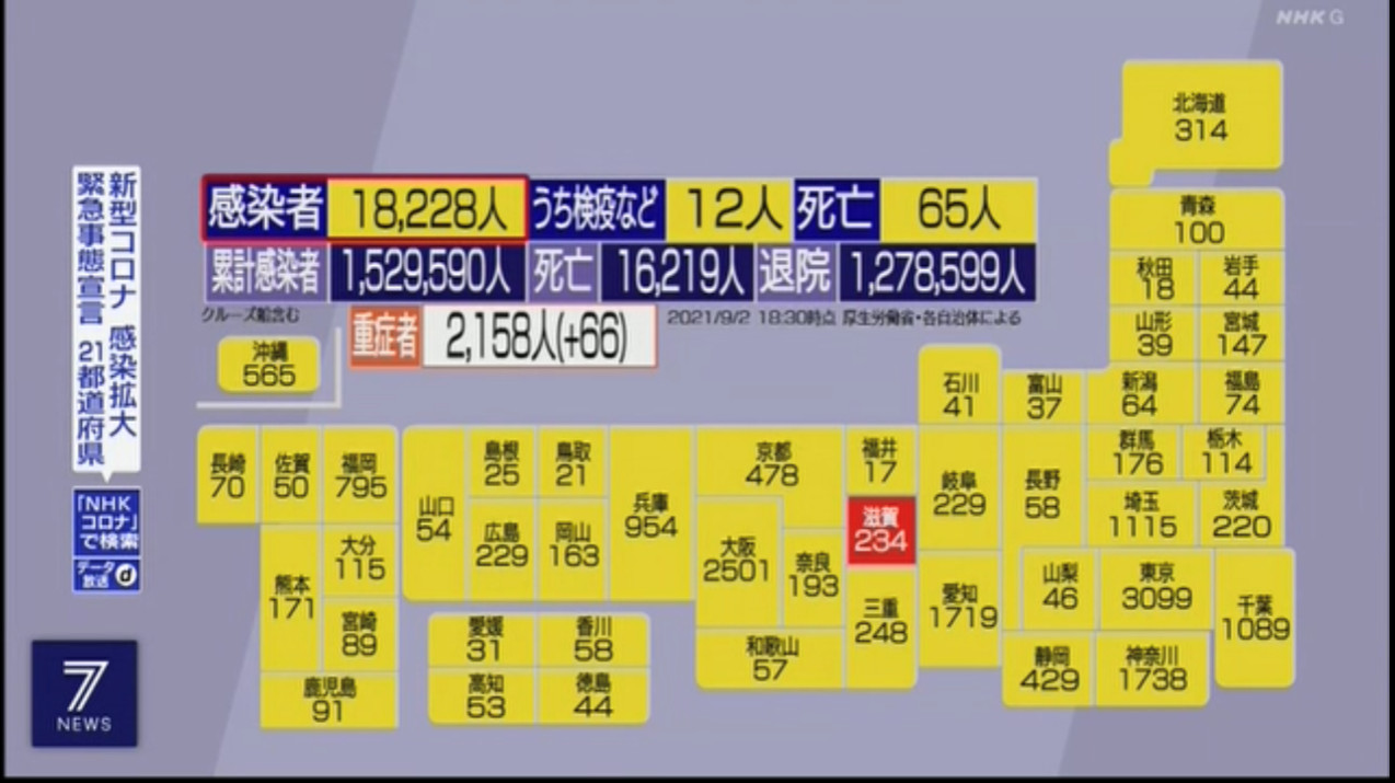 自民黨,總裁,國會議員,首相,菅義偉,台灣,選舉,岸田文雄,派閥,二階俊博,拜登,美國,阿富汗,911