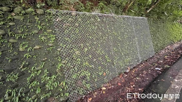 ▲新北土城打造專屬「天空廊道」 保護野生動物免死於路殺。（圖／新北市農業局提供）