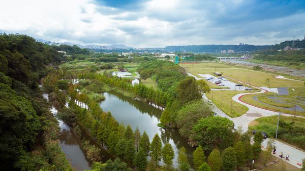 ▲大溪「月眉人工溼地生態公園」內的落羽松催紅了。（圖／網友walter.tsou提供，請勿隨意翻拍，以免侵權）