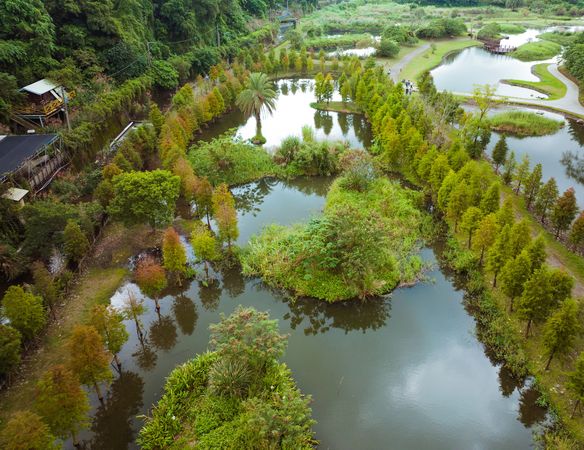 ▲大溪「月眉人工溼地生態公園」內的落羽松催紅了。（圖／網友walter.tsou提供，請勿隨意翻拍，以免侵權）