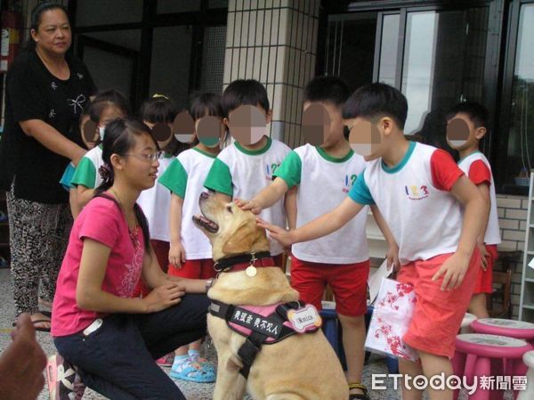 退役海關犬當狗醫生、伴讀犬。（圖／飼主陳舜智提供）