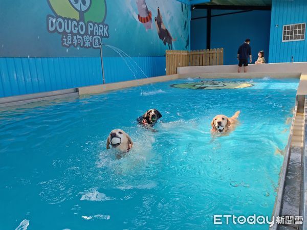 退役海關犬全家福。（圖／飼主陳舜智提供）