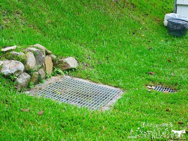 ▲▼青綠園親子露營區。（圖／何師父love露營授權提供，下同，請勿隨意翻攝以免侵權）