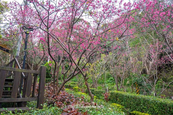 ▲▼水碓觀景公園。（圖／跟著領隊玩授權提供，下同，請勿隨意翻攝以免侵權）