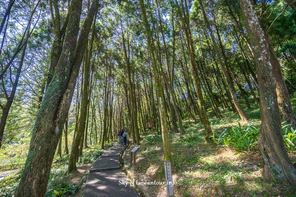 ▲「後慈湖」秘境攻略。（圖／跟著領隊玩授權提供，下同，請勿隨意翻攝以免侵權）