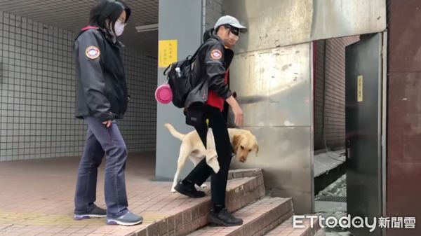 ▲▼拉不拉多犬導盲「路考」超自信　帶蒙眼師下階梯找座位小case！。（圖／惠光導盲犬學校提供）