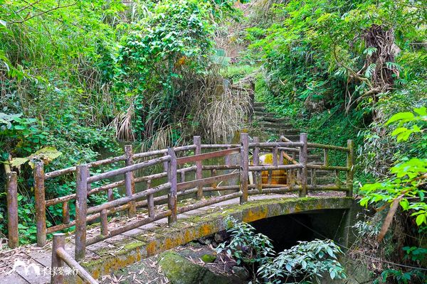 ▲▼太興岩景觀茶園步道與出水坑步道。（圖／卡夫卡愛旅行授權提供，下同，請勿隨意翻攝以免侵權）