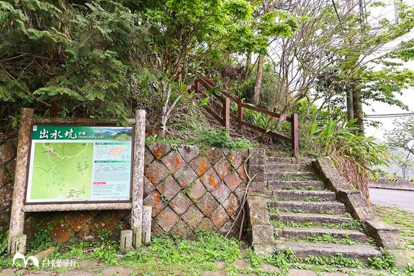 ▲▼太興岩景觀茶園步道與出水坑步道。（圖／卡夫卡愛旅行授權提供，下同，請勿隨意翻攝以免侵權）