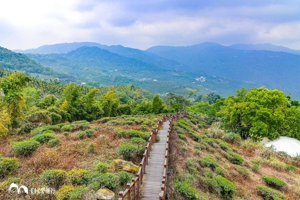 ▲▼太興岩景觀茶園步道與出水坑步道。（圖／卡夫卡愛旅行授權提供，下同，請勿隨意翻攝以免侵權）