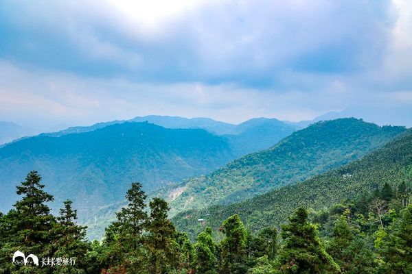 ▲▼太興岩景觀茶園步道與出水坑步道。（圖／卡夫卡愛旅行授權提供，下同，請勿隨意翻攝以免侵權）