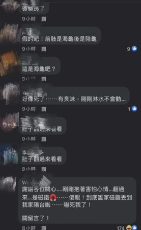 ▲陽台驚見龜屍「殼上畫咒文」超毛！她心疼淋水...翻開肚子傻爆眼。（圖／翻攝自Facebook／爆料公社一日小編）