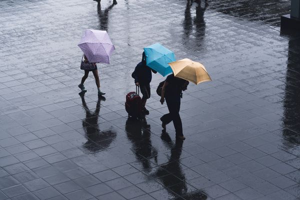 ▲▼挑雨傘心理測驗，秒測你的壞脾氣指數             。（圖／Unsplash）