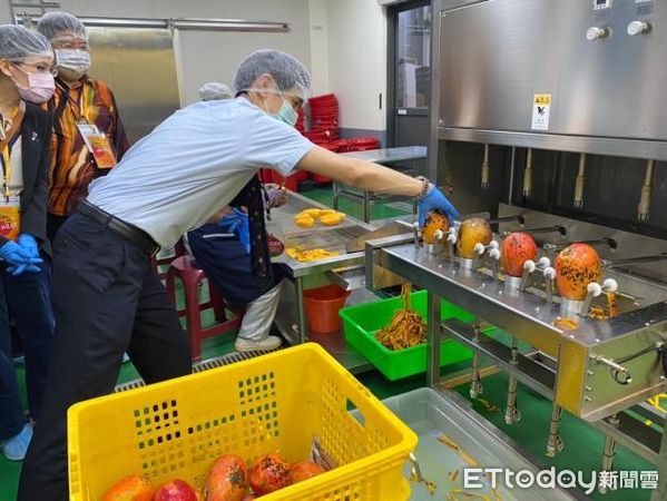 ▲2022台南國際芒果節2日於走馬瀨農場盛大開幕，台南市長黃偉哲特別邀請新加坡駐及日本駐台人員參加開幕式，並安排芒果加工與出口產業參訪，盼能更加拓展海外市場。（圖／記者林悅翻攝，下同）