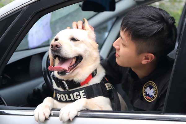 ▲▼任務圓滿達成！「毛警官」多多光榮退休　回新家享受狗生。（圖／翻攝自臉書粉專「NPA 署長室」）