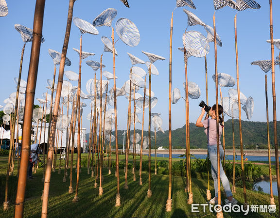 ▲2022桃園地景藝術節。（圖／記者彭懷玉攝）