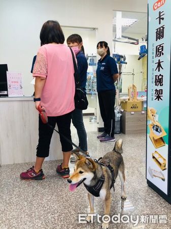 ▲▼東森寵物開幕慶多項商品「買一送一」再加碼「銅板價」超殺優惠。（圖／東森寵物商店提供，下同）