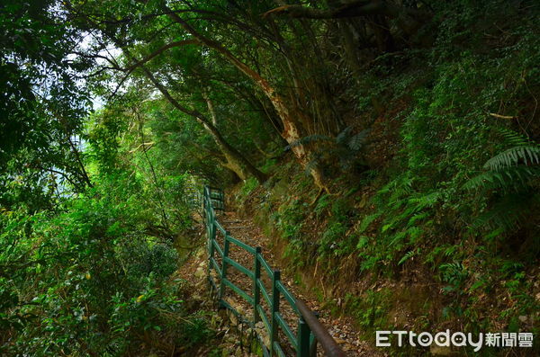 ▲小錐麓步道東眺太魯閣牌坊及立霧溪出海口。（圖／太管處提供，下同）