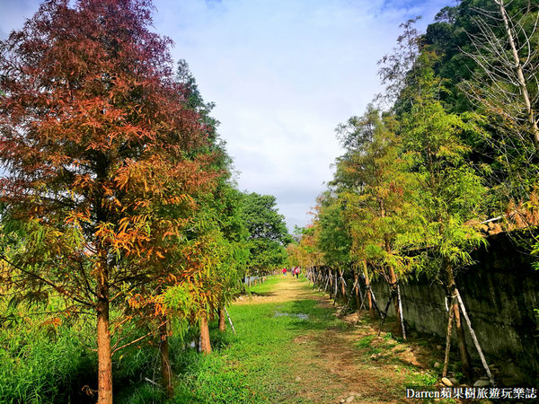 ▲▼ 月眉人工濕地生態公園（圖／Darren 蘋果樹提供）