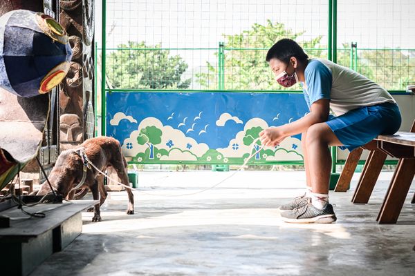 腫瘤犬浩克。（圖／台灣愛狗人協會、青山國小沙漠孩樂學習）