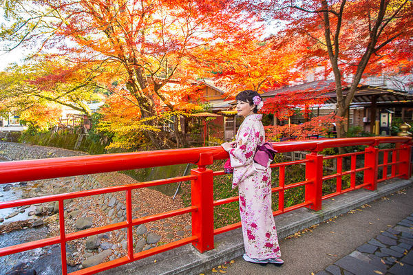 ▲▼伊豆修善寺。（圖／夏金剛的奇幻之旅）