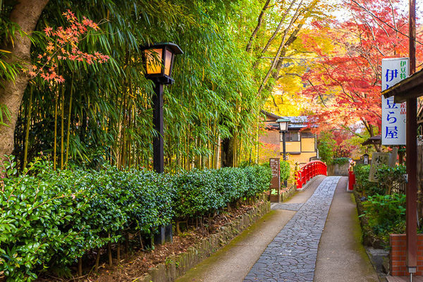 ▲▼伊豆修善寺。（圖／夏金剛的奇幻之旅）