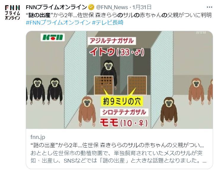 ▲▼母猿「獨居5年」突產子 動物園嚇傻花2年終於解開謎團。（圖／翻攝自推特）