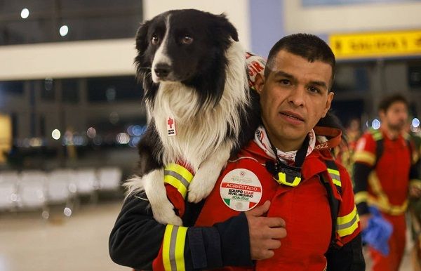 ▲▼墨西哥搜救犬曾救出無數生命　16隻「守護英雄」遠赴土耳其救災。（圖／翻攝自推特＠m_ebrard）