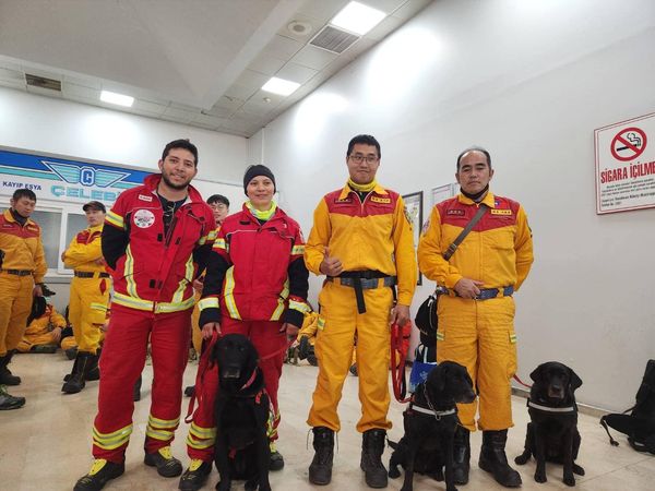 ▲▼台灣搜救犬美樂蒂、腿腿挺進重災區！　「精神良好」基地營報到。（圖／翻攝自臺中GoGo - 狗狗 -臺中搜救犬粉專）