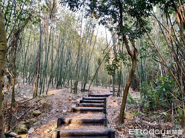 ▲陽明山新秘境「紫明溪步道」,野溪溫泉。（圖／記者彭懷玉攝）