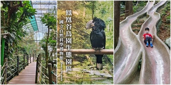 ▲▼南投鹿谷親子景點「鳳凰谷鳥園生態園區」。（圖／部落客大口老師提供）