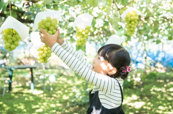 ▲易飛網以「易起旅遊 飛你莫暑」為主題參加TTE，強打樂園暢遊及夏日海島旅遊。（圖／易飛網提供）