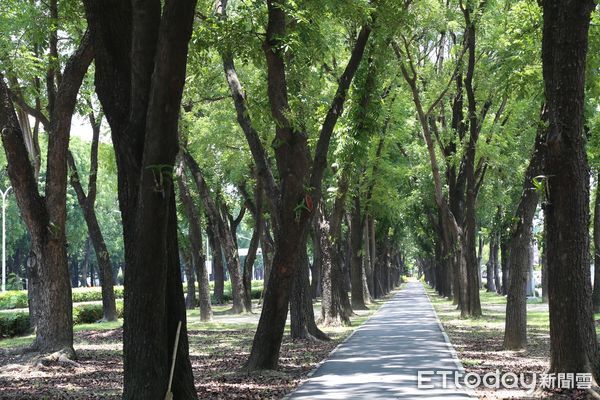 ▲▼  黃敏惠市長感謝南區扶輪社認養道路 打造石斛蘭景觀步道 美化「嘉」園！  。（圖／嘉義市政府提供）