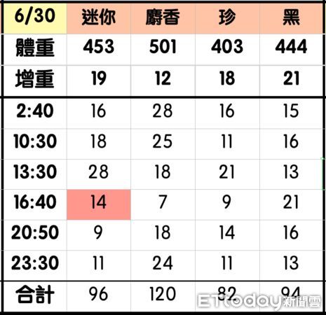 ▲▼幫小奶貓取名全跟豬有關！　「肥嫩熟睡照」曝光粉絲秒懂：真的像。（圖／奶貓育嬰室提供）