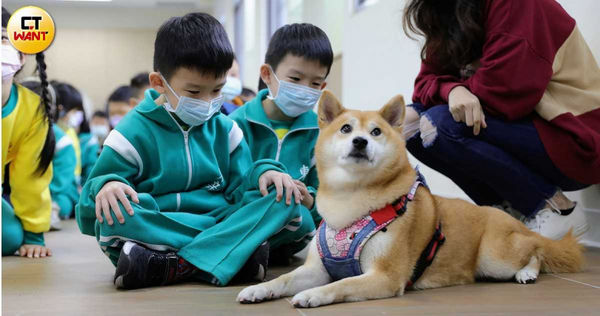 透過教育從小開始宣導TNR政策，配合保育觀念與時俱進，才能讓流浪動物與社會安然共存。（圖／方萬民攝）