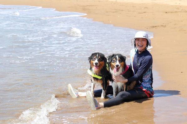 ▲邵庭與浪浪們。（圖／邵庭提供）