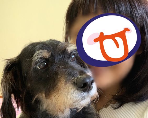 ▲▼5飼主連續10年幫愛寵打狂犬病疫苗　新北狂犬病績效全國評比第一。（圖／新北市動保處提供）