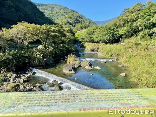 ▲福山部落,德拉楠（tranan）,烏來德拉楠,烏來福山部落,德拉楠古圳步道,大羅蘭溪,烏來旅遊。（圖／記者彭懷玉攝）