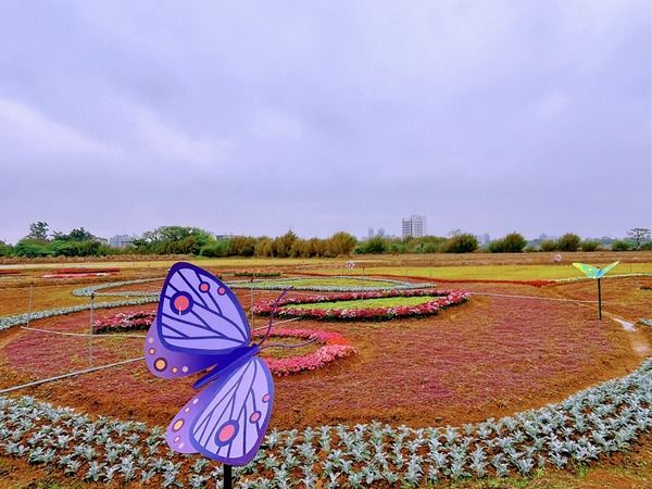 ▲2024溪海花卉農遊趣登場