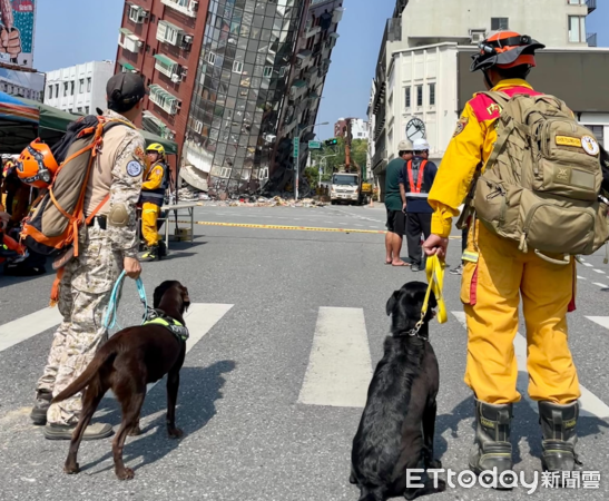 ▲汪汪隊來了！8隻搜救犬集結花蓮救災　超強狗狗Amei休假來支援（圖／領犬員周聰吉提供，請勿隨意翻拍，以免侵權。）