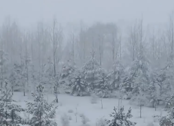 ▲▼河北多地積雪1公尺深。（圖／翻攝自微博）