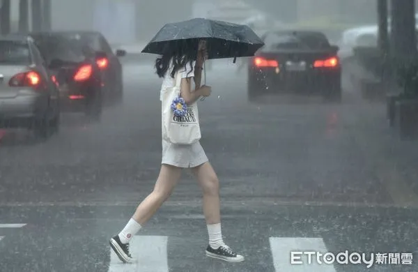 ▲▼天氣,行人,路人,雷雨,斑馬線,過馬路,大雨,大雷雨,下雨,雨天,豪大雨,午後雷陣雨,梅雨,降雨,氣象,豪雨,颱風外圍環流,西南氣流,滯留鋒面,撐傘,雨傘,陰雨綿綿,潮濕,濕度,熱對流,天氣配圖。（示意圖／記者李毓康攝）